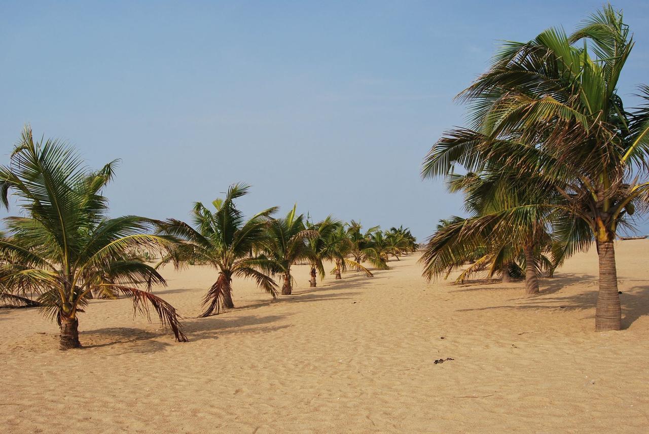 A&Y Wild Camp Ghana Keta Eksteriør billede