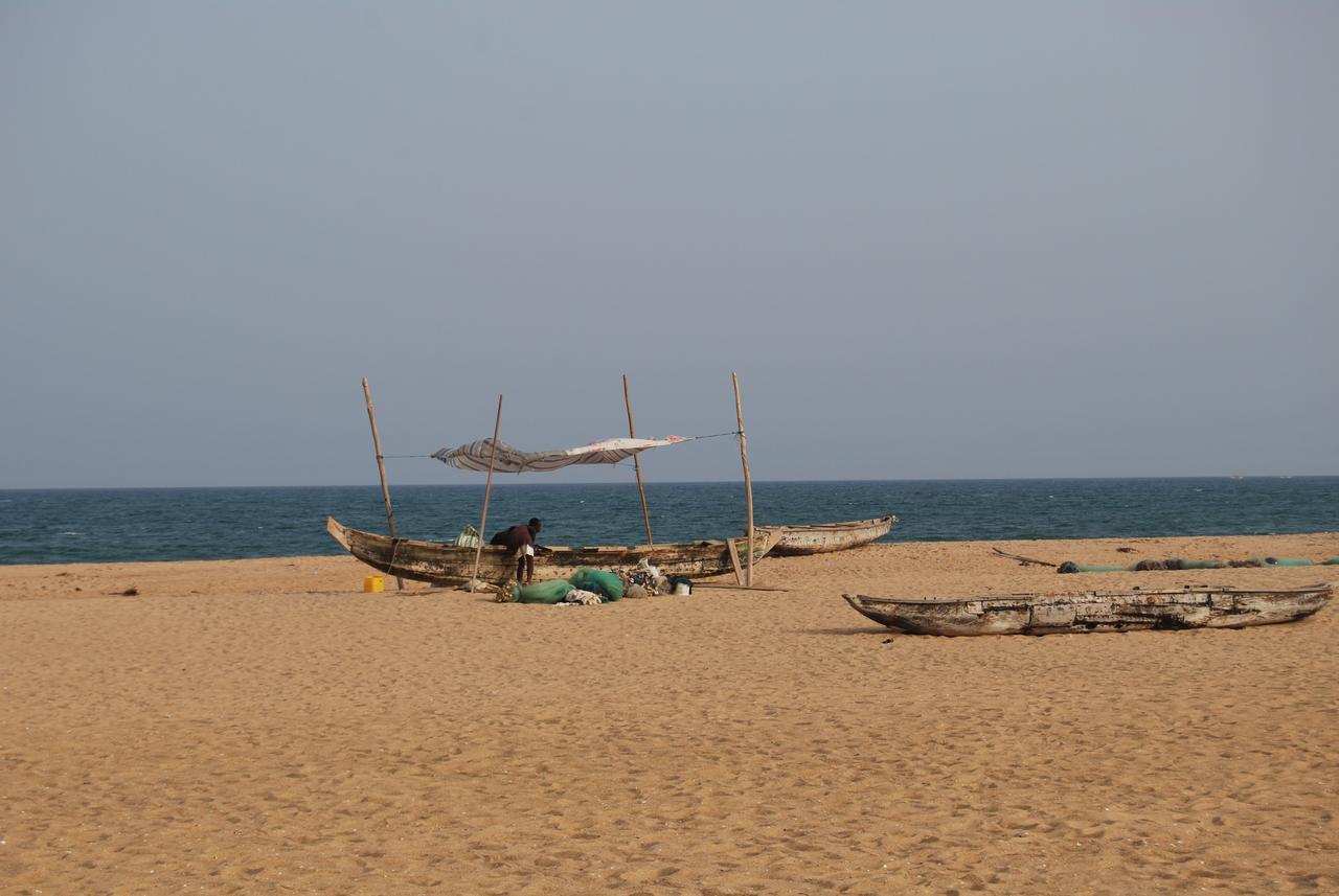 A&Y Wild Camp Ghana Keta Eksteriør billede